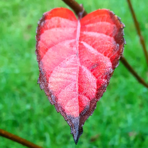 Photo #14102533