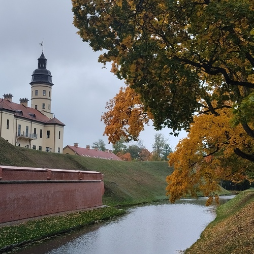 Photo #14102539