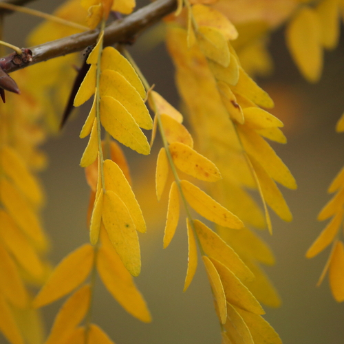 Photo #14102554