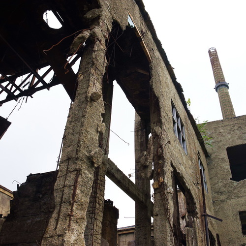 Photo #14102557