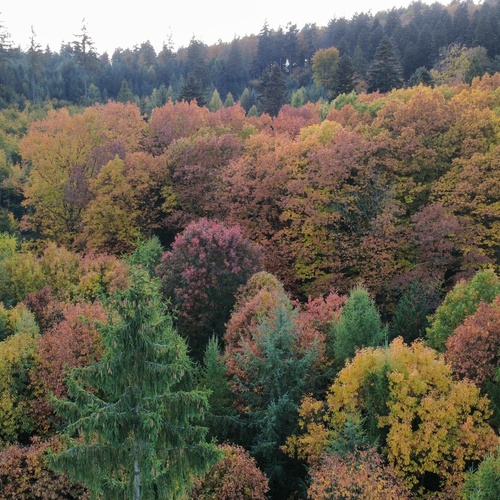 Photo #14102603