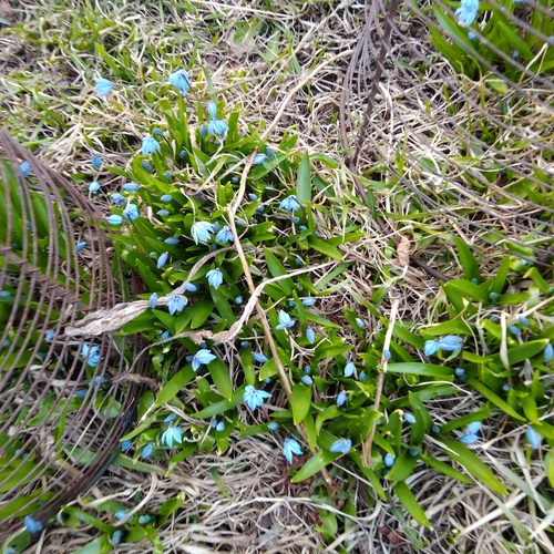 Photo #14102660