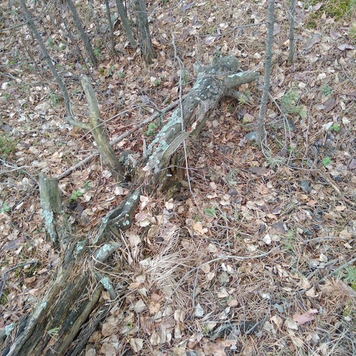 Photo #14102661