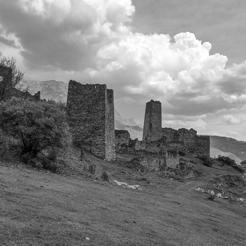 Photo #14102666