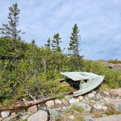 Photo #14102679