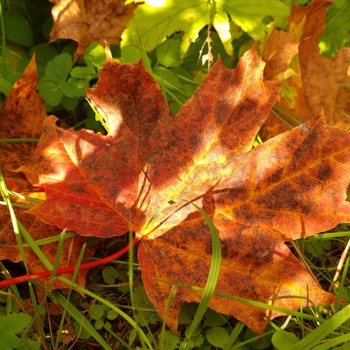 Photo #14102694