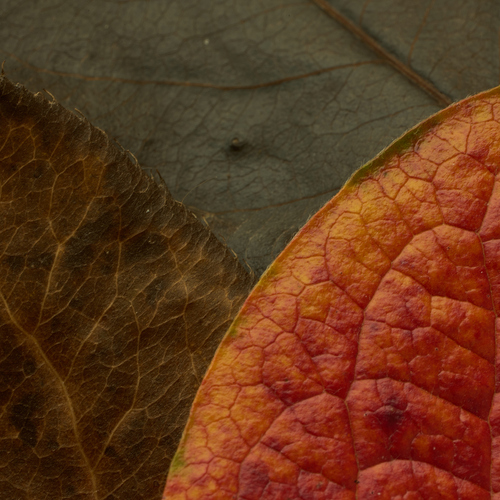 Photo #14102726