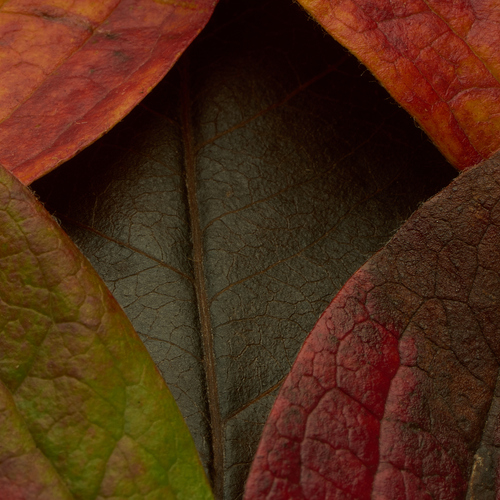 Photo #14102732