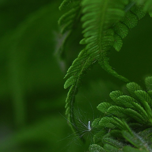 Photo #14102738