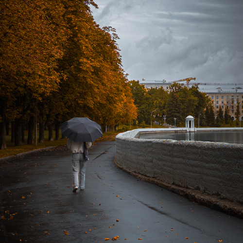 Photo #14102790