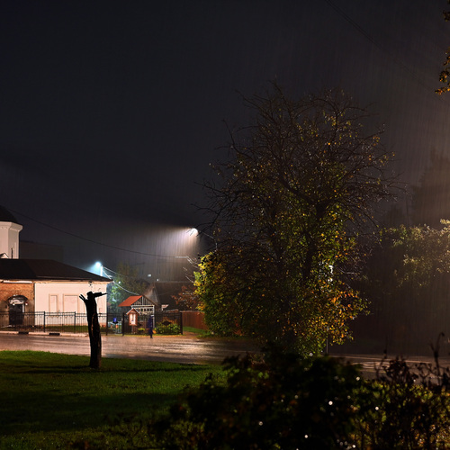 Photo #14102802