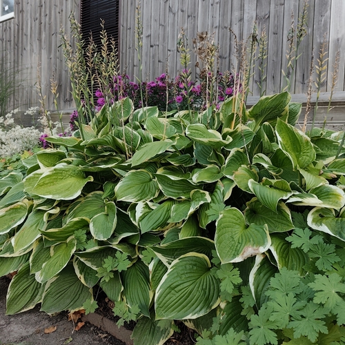 Photo #14102838