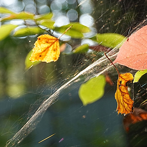 Photo #14102847