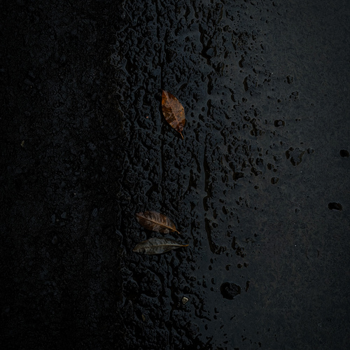 Photo #14102849