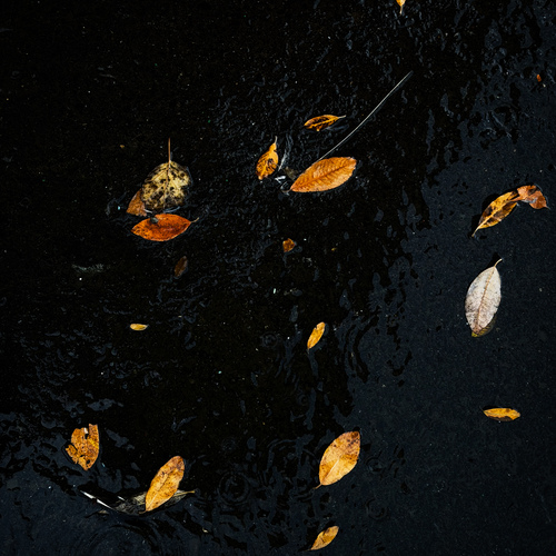 Photo #14102850