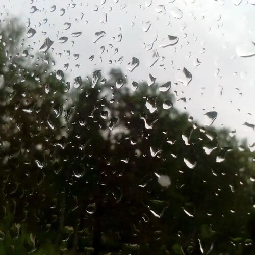 Photo #14102856