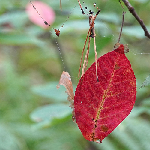 Photo #14102868