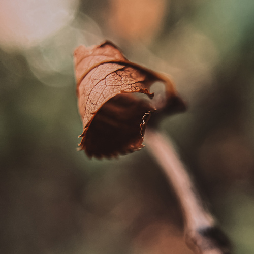 Photo #14102875