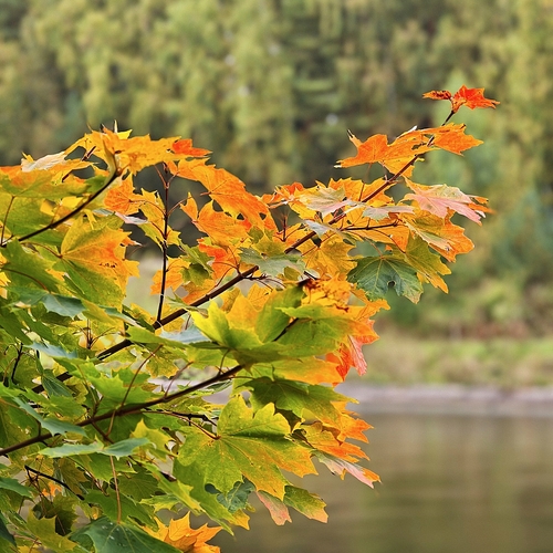 Photo #14102922