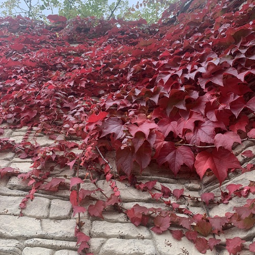 Photo #14102999