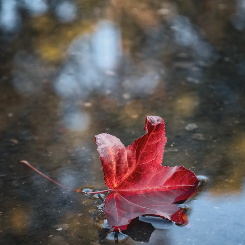 Photo #14103035
