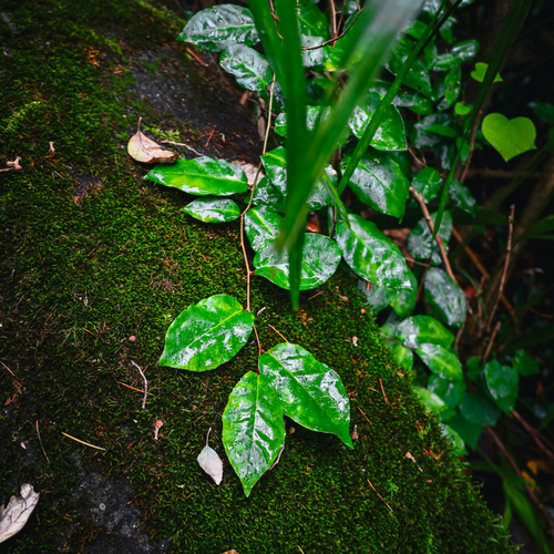 Photo #14103036