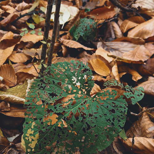 Photo #14103039