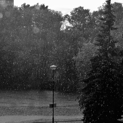 Photo #14103055
