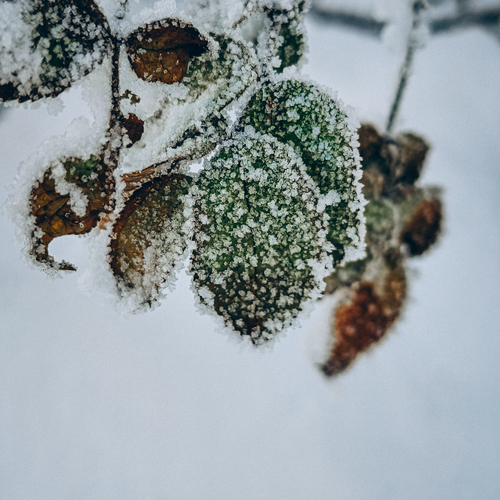 Photo #14103056