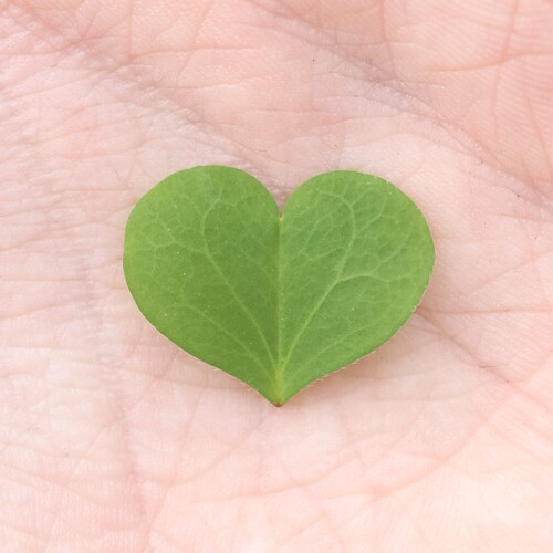 Photo #14103141