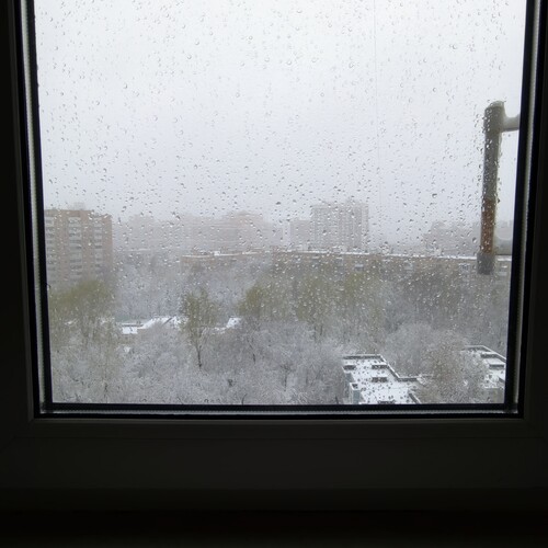 Photo #14103184