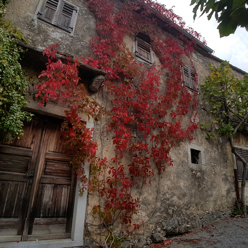 The old house