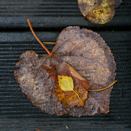 Photo #14103283