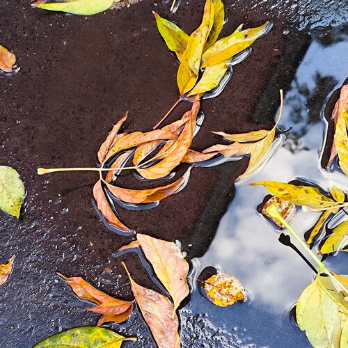 Photo #14103294
