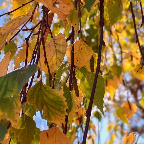 Photo #14103314