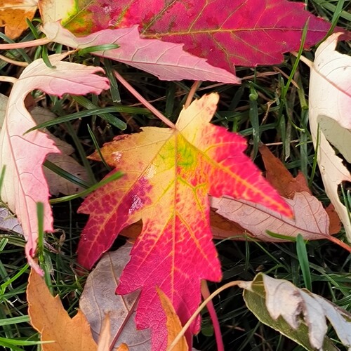Photo #14103340
