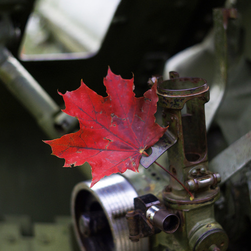 Photo #14103425