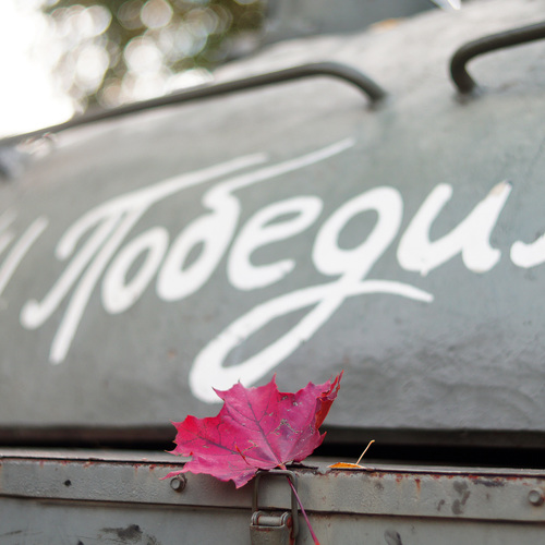 Photo #14103429