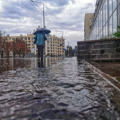Photo #14103432