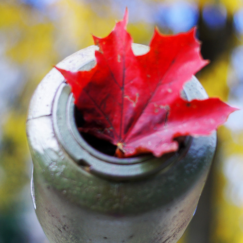 Photo #14103433