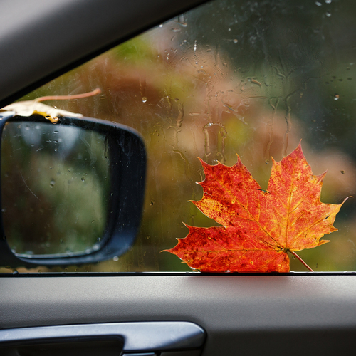 Photo #14103441