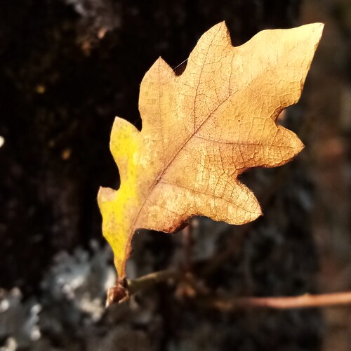 Photo #14103491