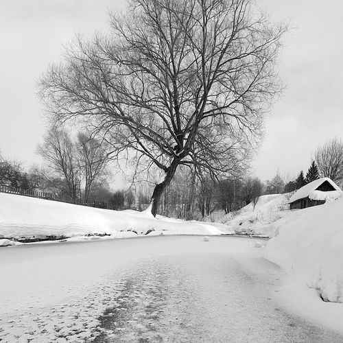 Photo #14103531