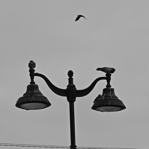 Photo #14103537