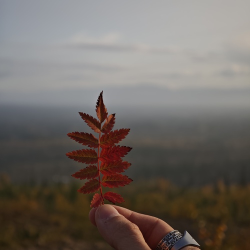 Photo #14103569