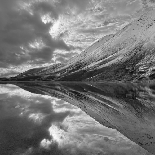 Photo #14103580