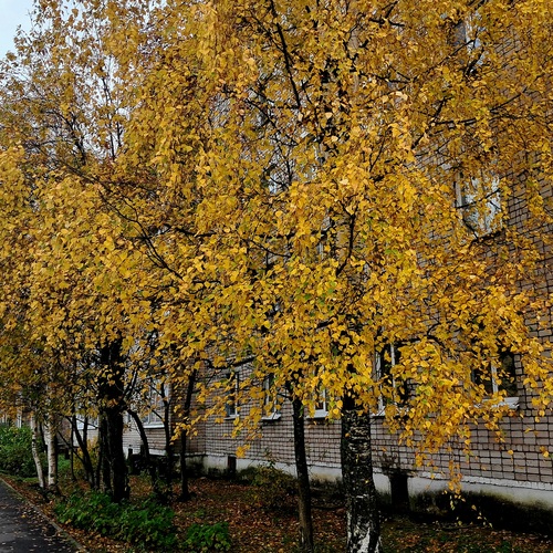 Photo #14103607