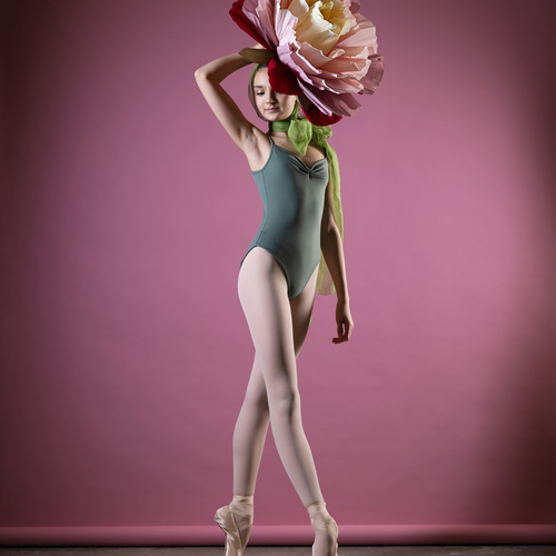 Photo #14103641