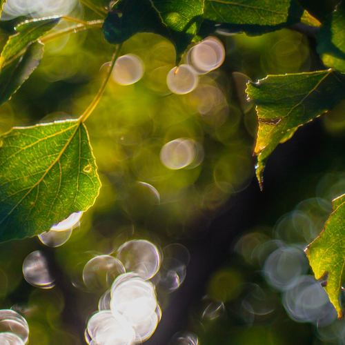 Photo #14103654