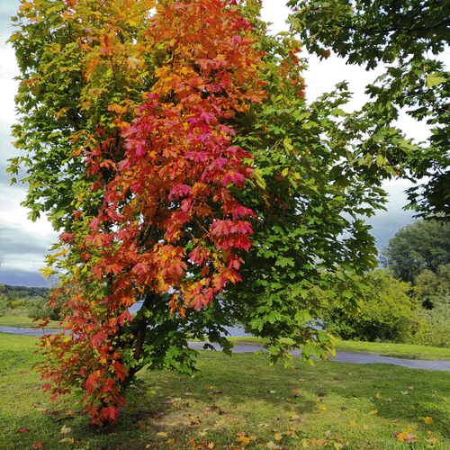Photo #14103663